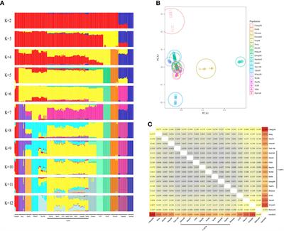 Genomic analyses of Asian honeybee from the Sansha Island in the South China Sea, suggest it’s evolutional origin and environmental adaption